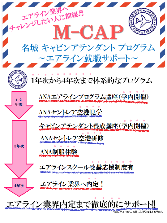 M-CAPǥӥ󥢥ƥȥץࡹ饷PDF